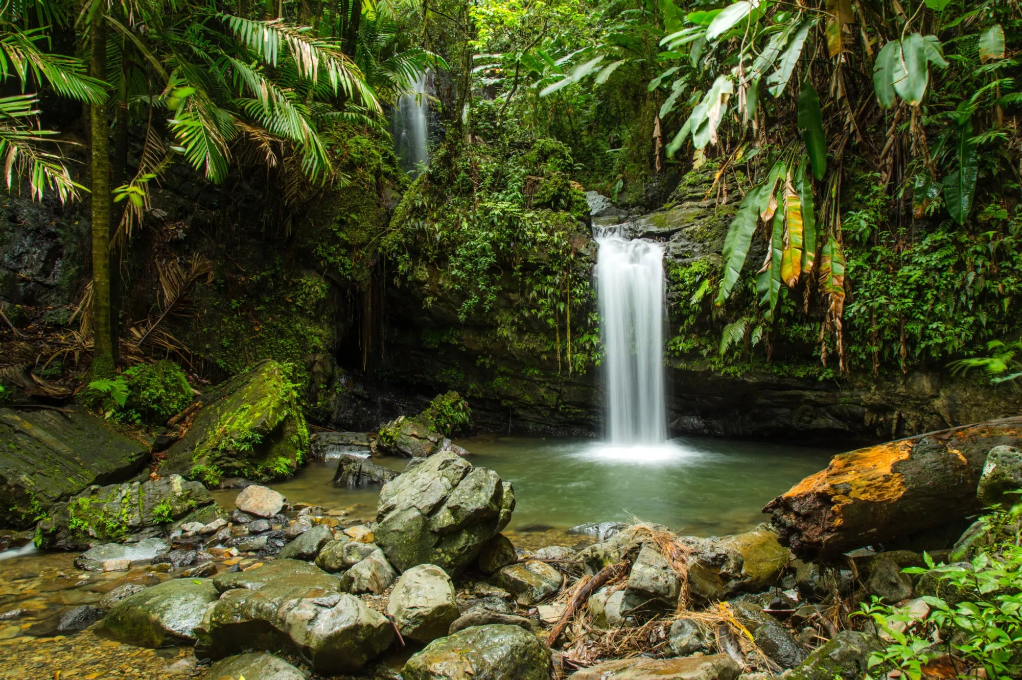 El Yunque Tour
